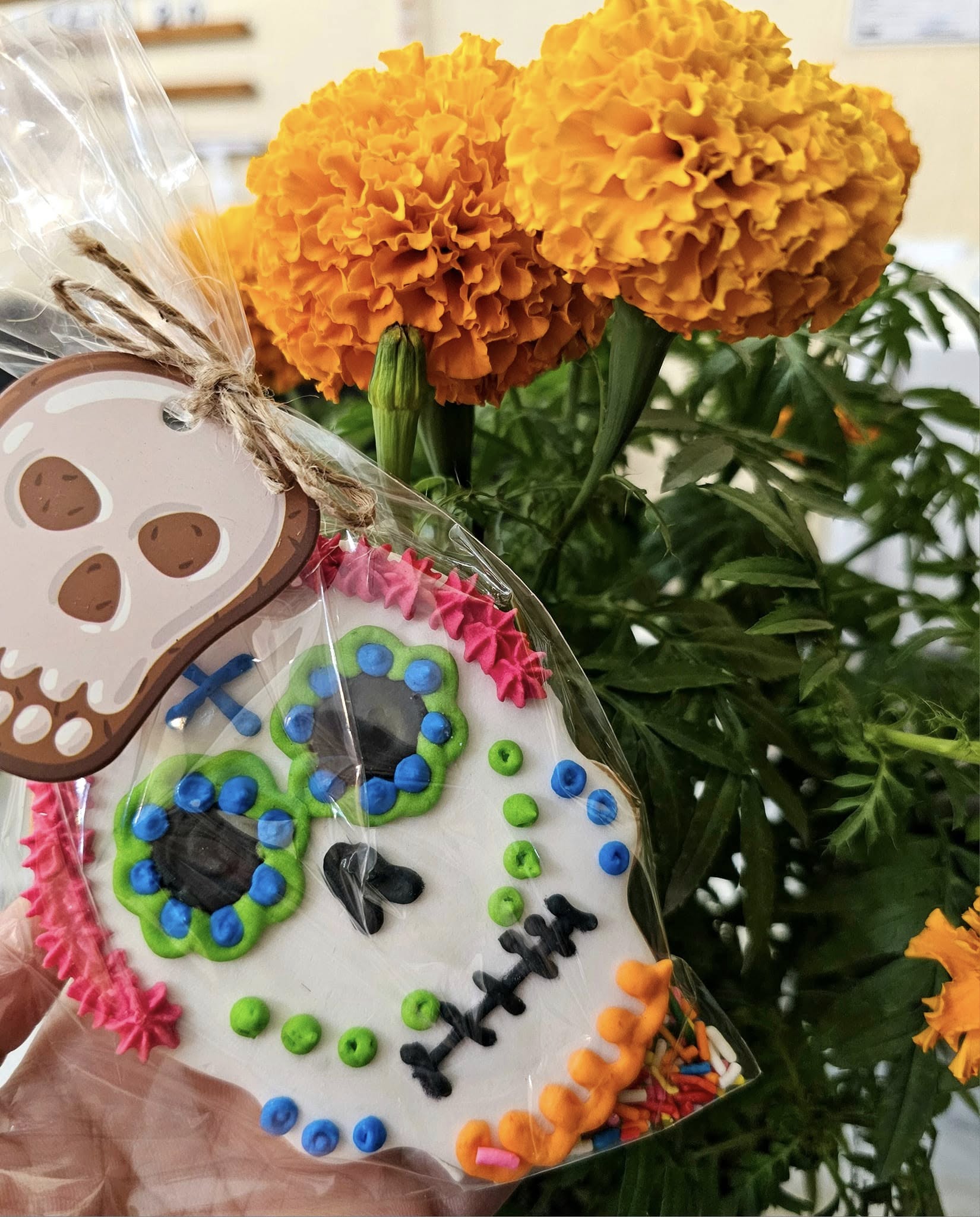 Special Galleta 2